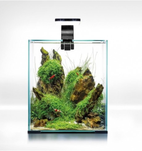 Akvariumas AQUAEL Shrimp Set Smart D&N 20 Black Ecom, 19 l. (juodas) Akvariumas AQUAEL Shrimp Set Smart D&N 20 Black Ecom, 19 l. (juodas)